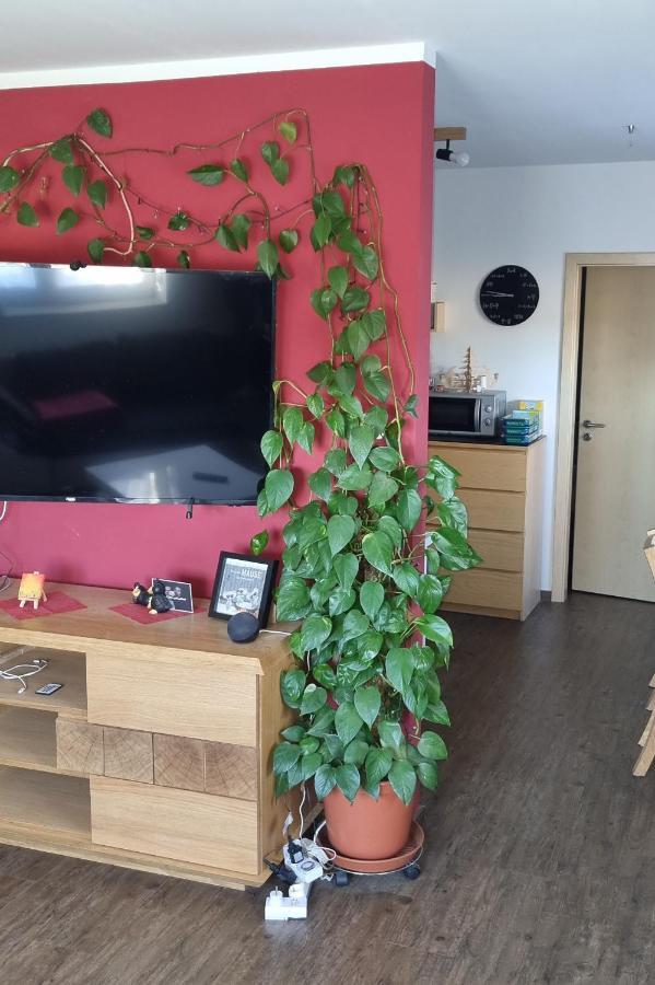 Ferienwohnung Bergidyll Schwarzenberg  Luaran gambar